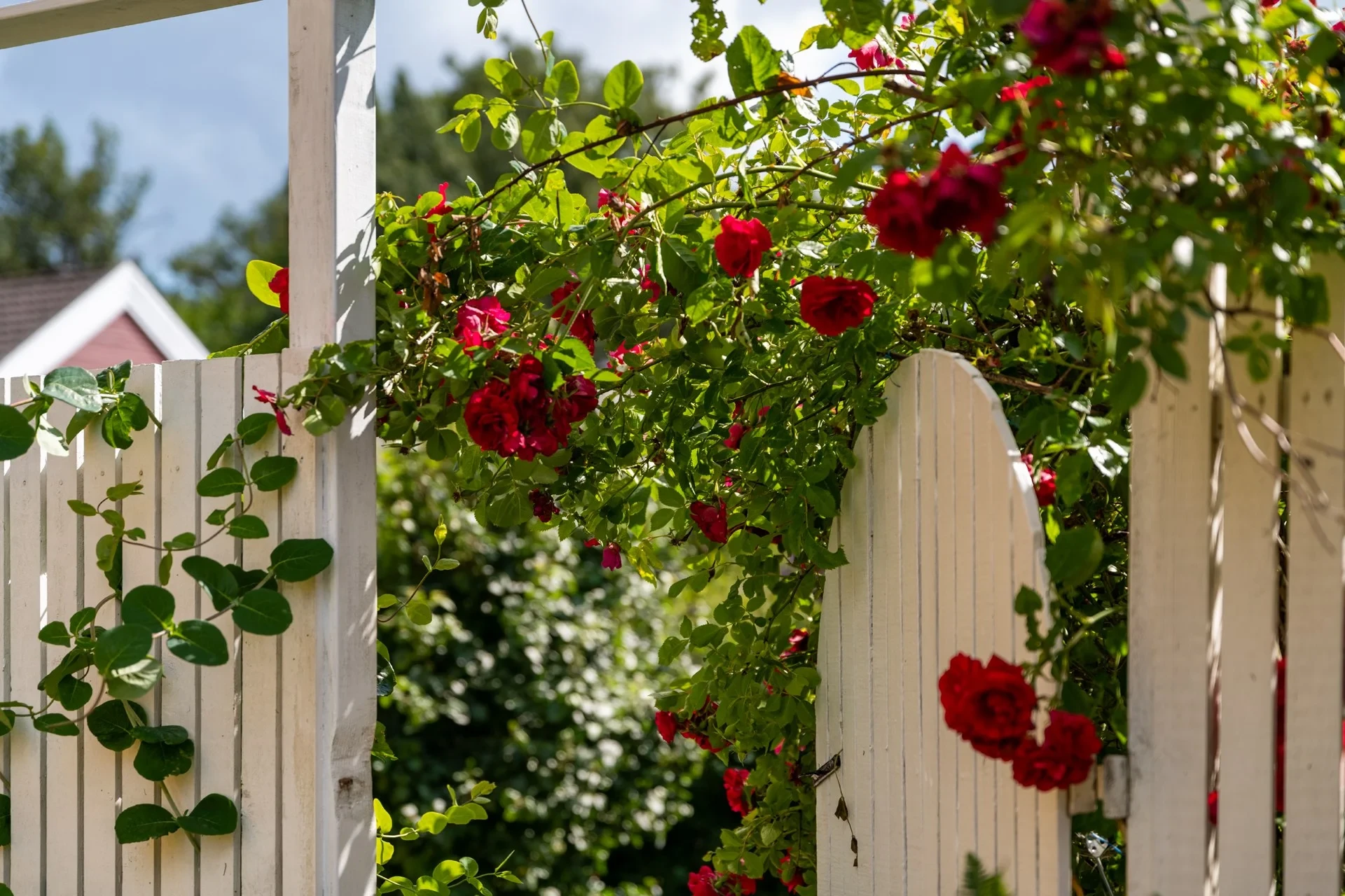Rymlig familjevilla med härlig tomt och nyinstallerade solceller