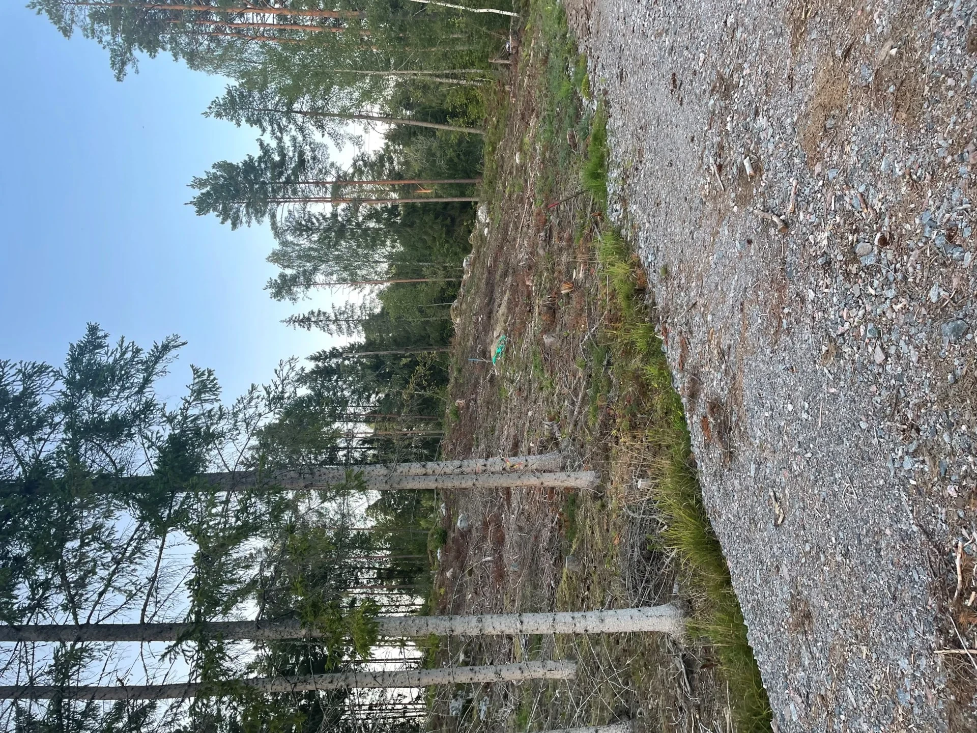 Tomt med högt och soligt läge!