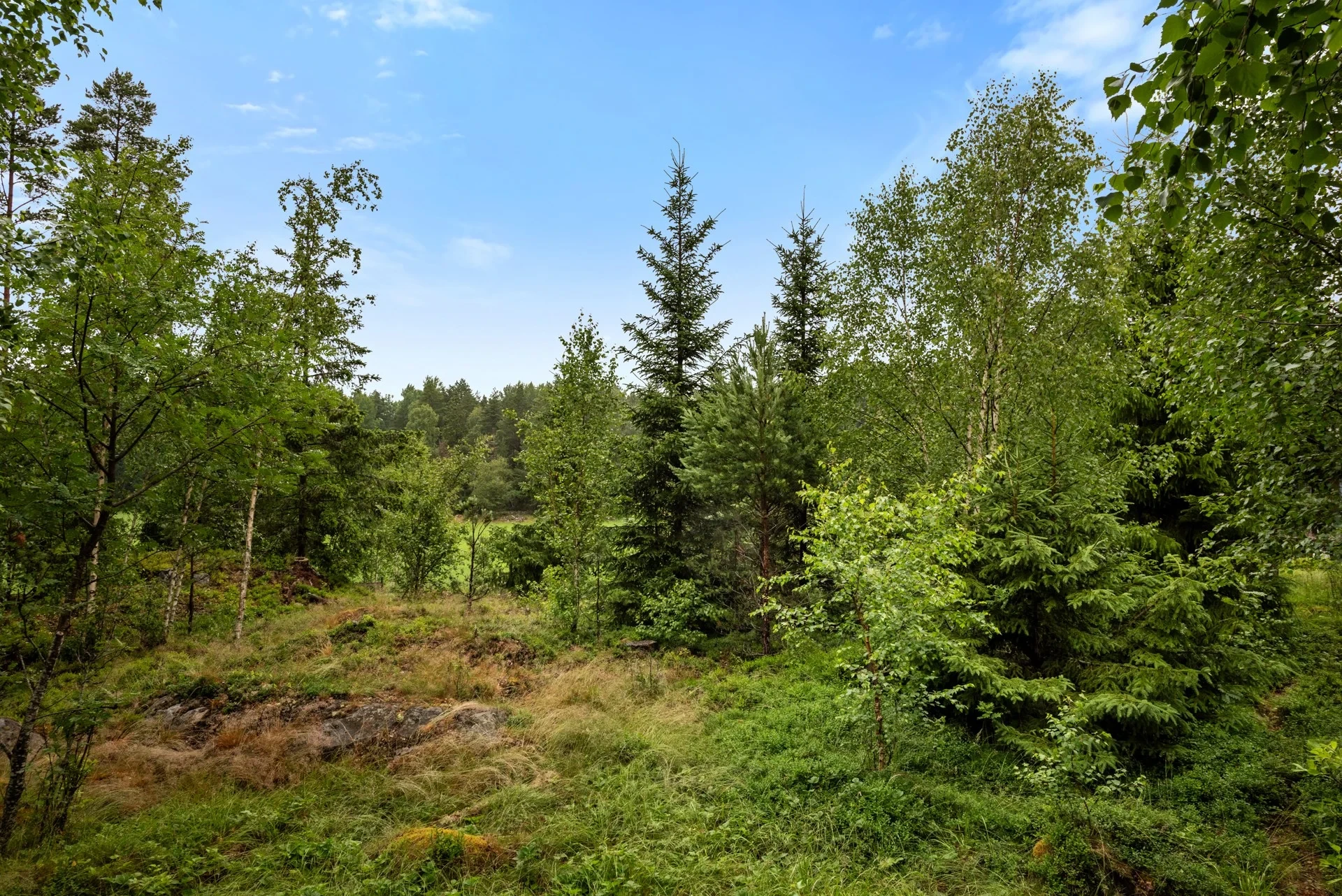 Tomt nära havet på Singö med mindre byggnad samt utsikt över ängsmark!