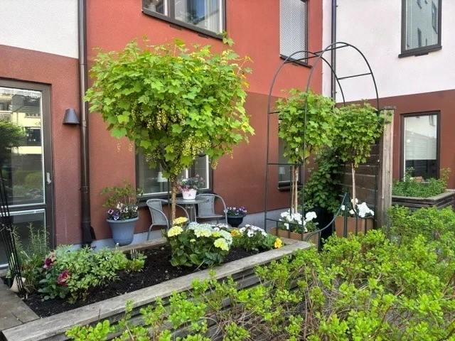 Modernt och bekvämt boende med uteplats, hiss och genomtänkt planlösning
