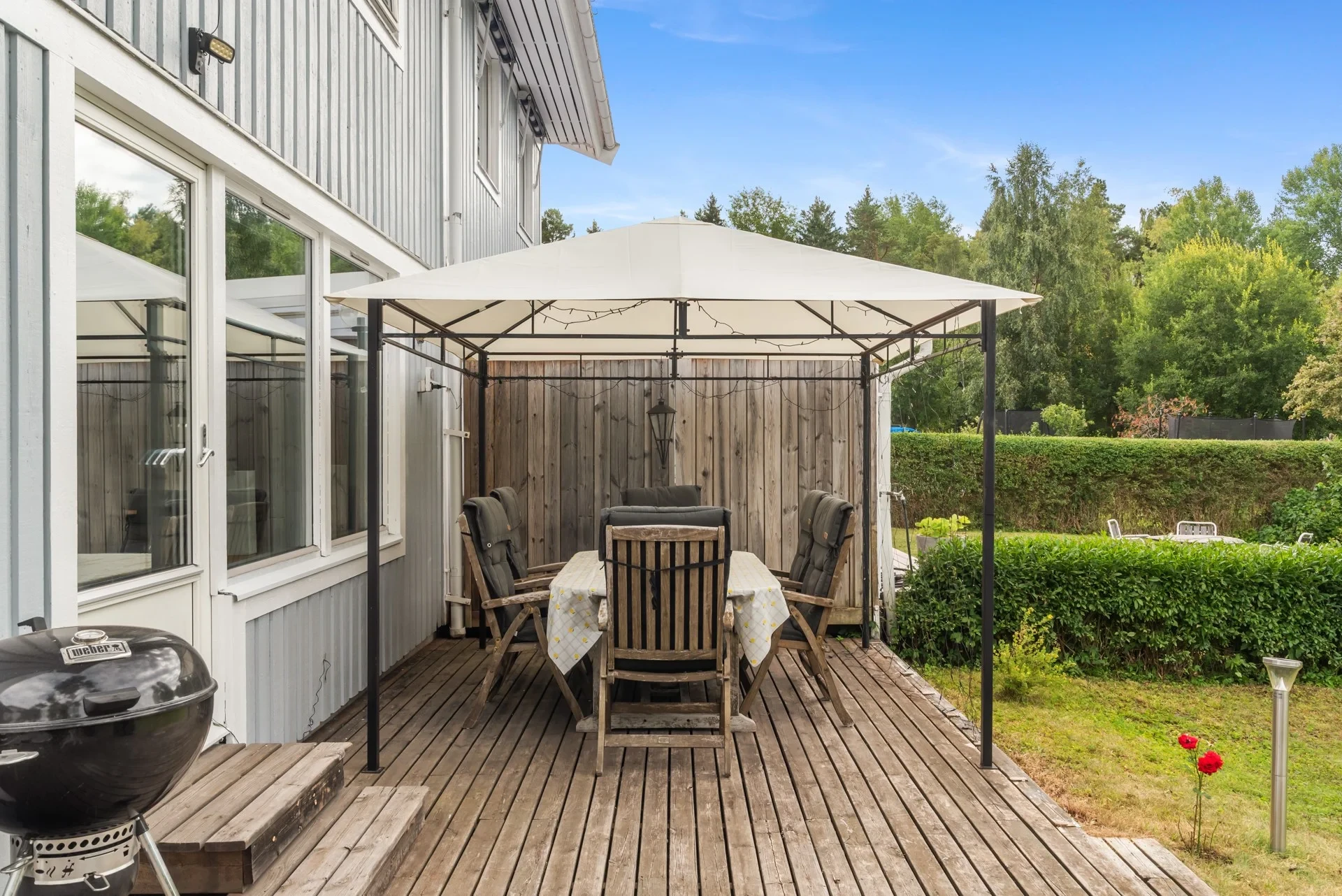 Parklik baksida med härlig kvällssol